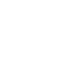 FAST WIRELESS CHARGING